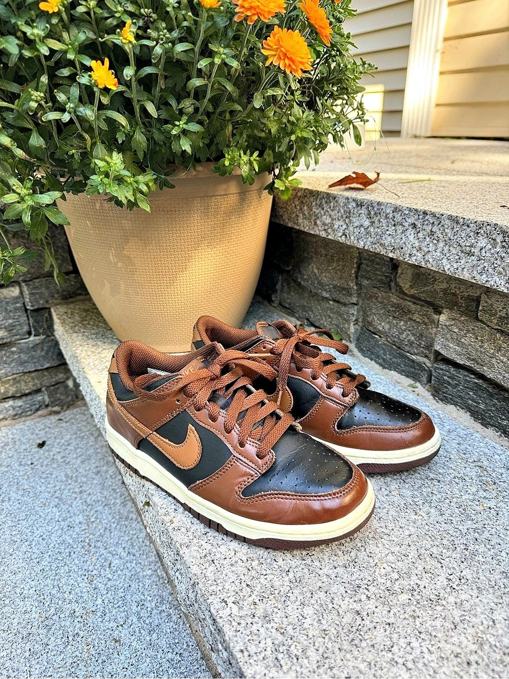 2025
Nike Dunk Low 'Black Cacao Big Boys 5.5